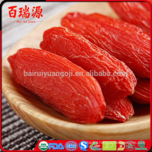 Goji berry dried goji berries goji price